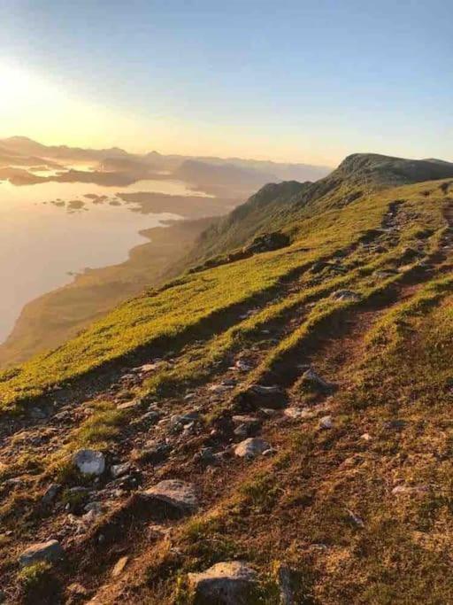 Апартаменты Koselig Garasjeloft! Langevag Экстерьер фото